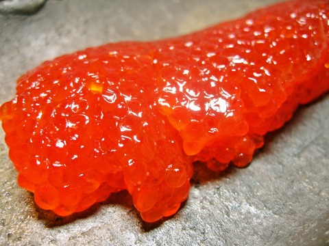 foodpic10426325