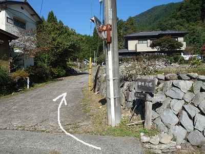 033 分岐した道