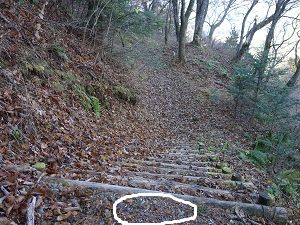 050 鳥居峠付近