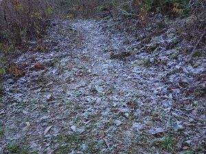 047-1 寒気による霜