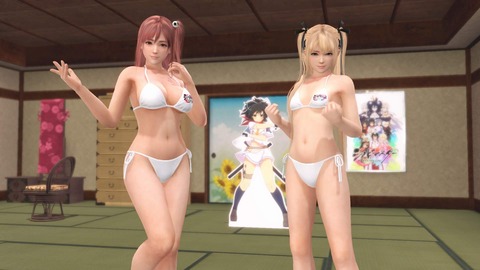 DOAXVV シノマスコラボポーズの研究