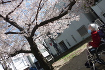 CIMG3708