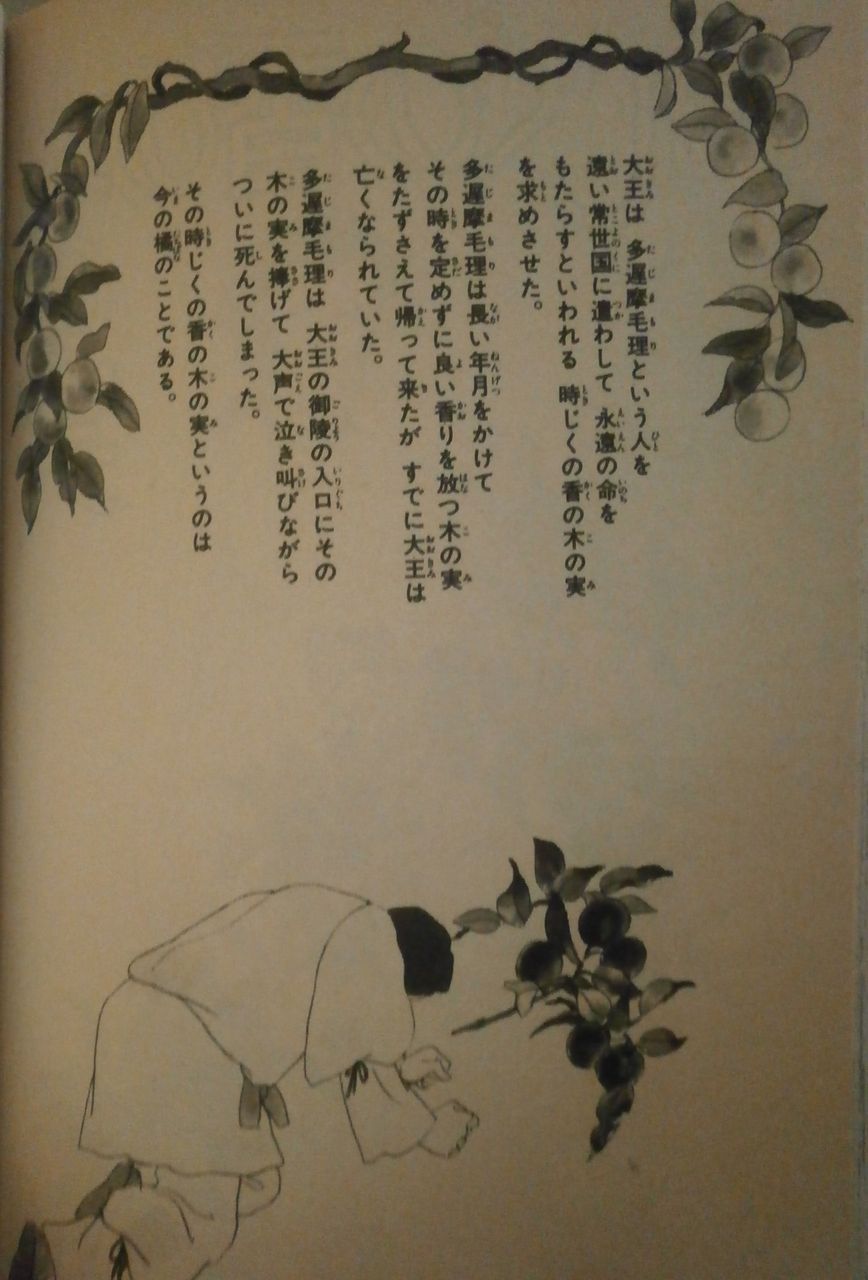 日微通信 時じくの香の木の実 書籍 映像編 藤原氏と古代史推進委員会