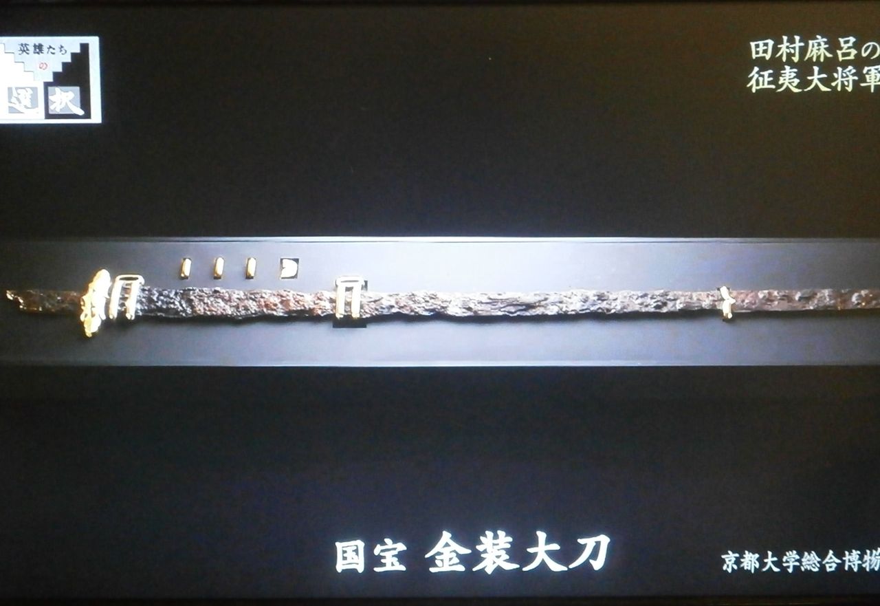 坂上田村麻呂の墓か 西野山古墓 藤原氏と古代史推進委員会 坂上田村麻呂の墓か 西野山古墓 藤原氏と古代史推進委員会