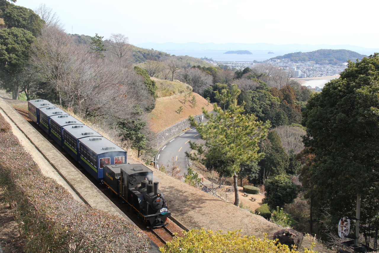 衣浦臨海鉄道撮影~こどもの国SL撮影 2/9 : それでも行きたい