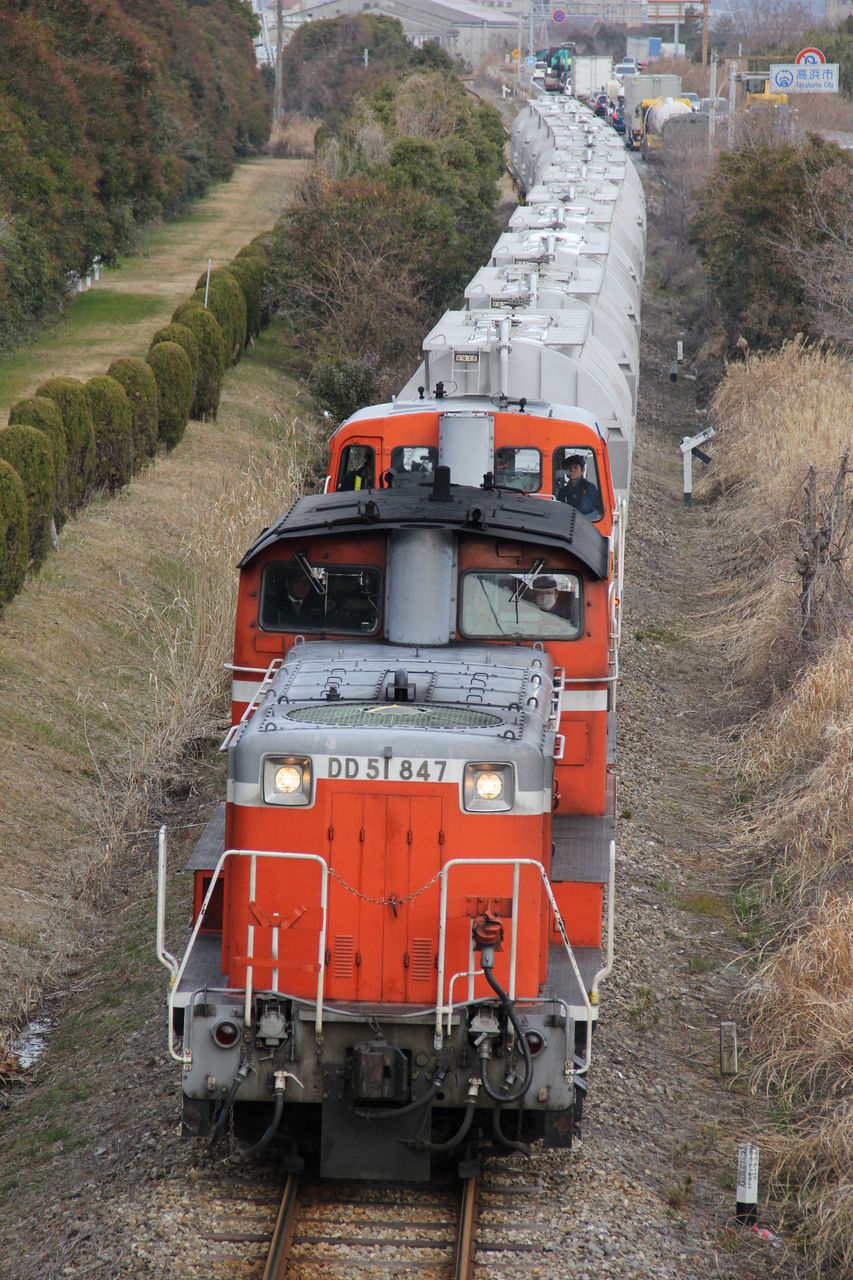 衣浦臨海鉄道撮影~こどもの国SL撮影 2/9 : それでも行きたい