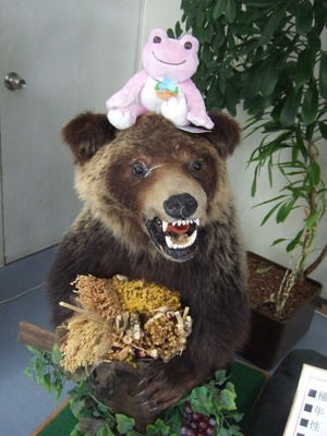 2013-02-11obihiro 010