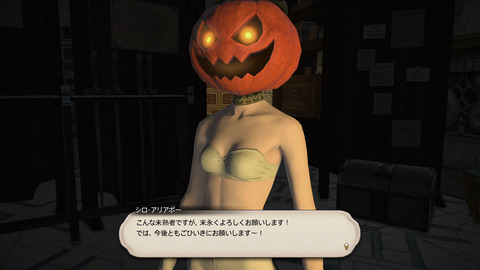 新規マイビデオプロジェクト14