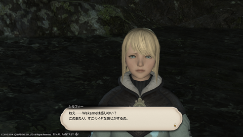 Wakame Kuki 2014_11_27 10_09_03