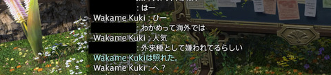 Wakame Kuki 2017_08_25 20_36_56