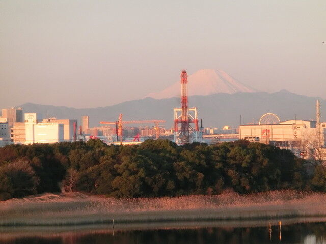 CIMG1462
