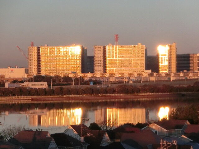 CIMG1460