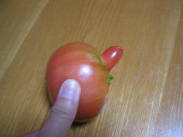 おっっっぱい Kulalaとａｎｙのドタバタ日記
