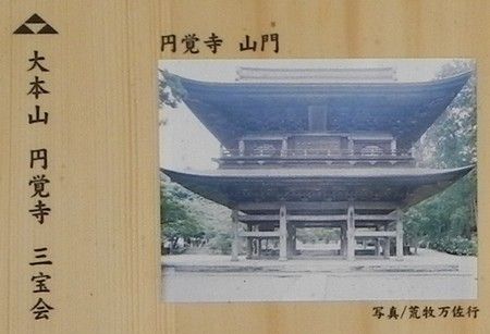 北条家の家紋 三つ鱗 と 北条鱗 鎌倉北条 後北条 戦国五北条