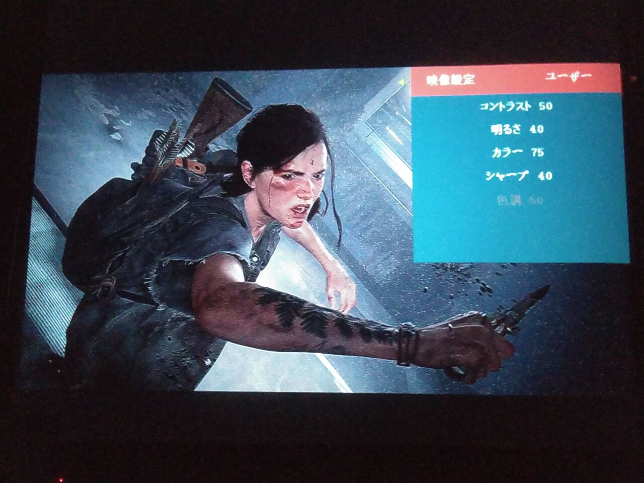 日記 1080pのプロジェクターを購入 Ps4のゲーム画面を色々映してみる Kuma16 スクショ メモ帳 置き場