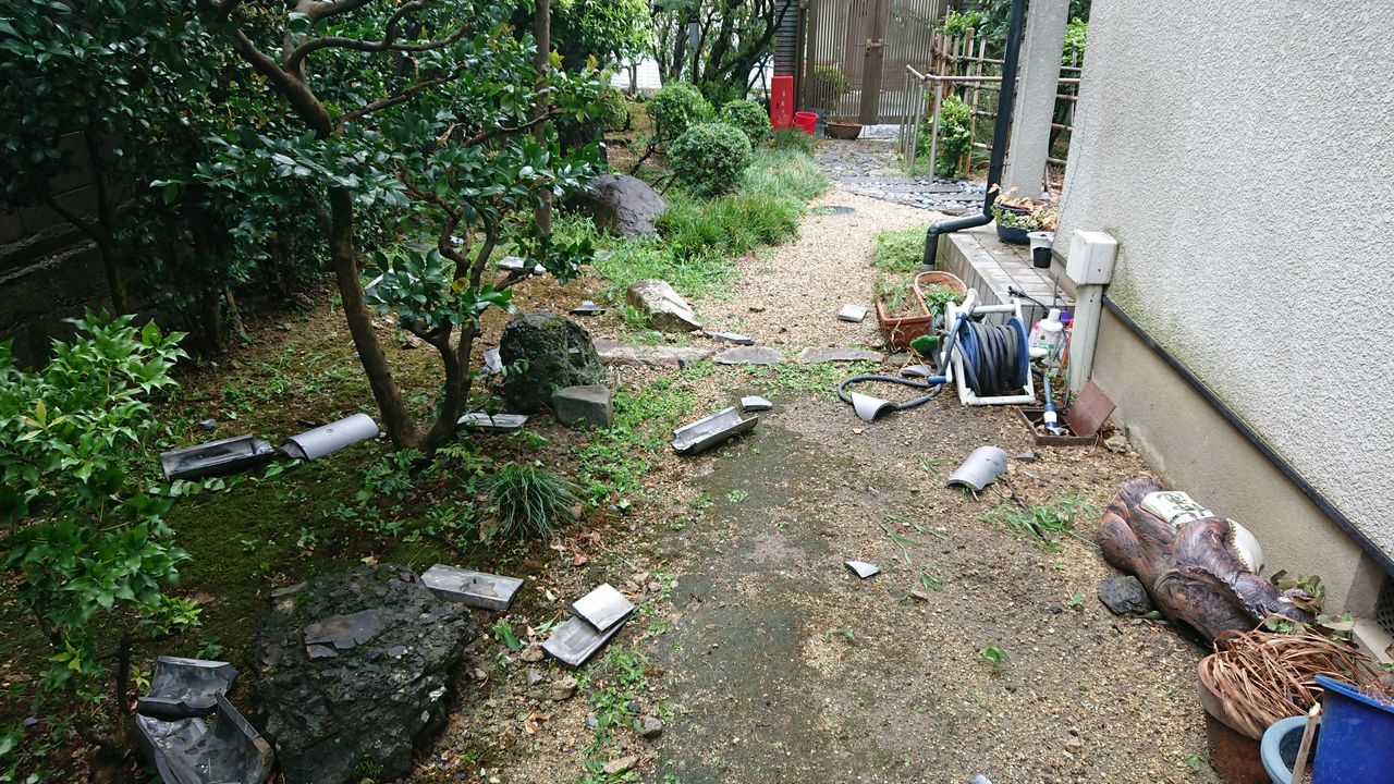 マリンは強風中止 京都は停電７時間 京都発 マリーンズ 沖縄 ロックンロール なblog