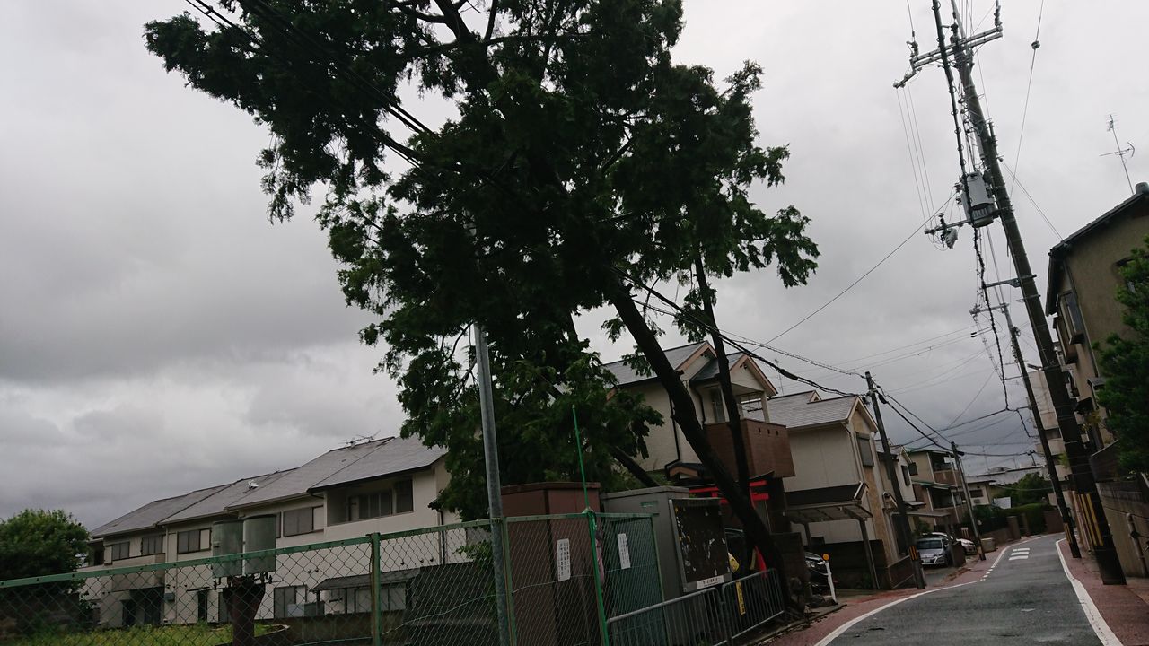 マリンは強風中止 京都は停電７時間 京都発 マリーンズ 沖縄 ロックンロール なblog