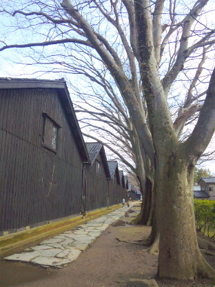 yamai