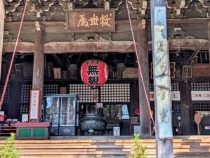 PXL_20260217_013957841-EDIT