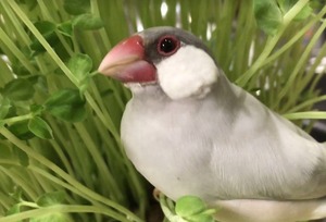 無題2