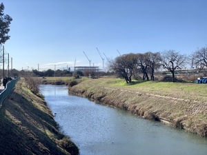 IMG_3905