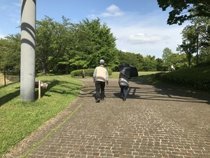IMG_3576