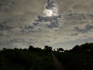 IMG_2061