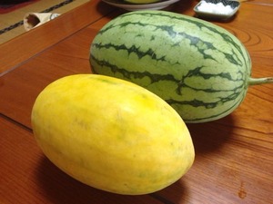写真 2