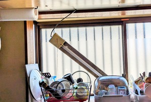 PXL_20240331_045103988~2