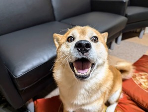 7314