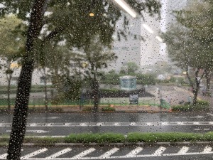 IMG_7453