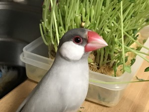 IMG_0007