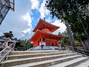 PXL_20240917_061433920-EDIT