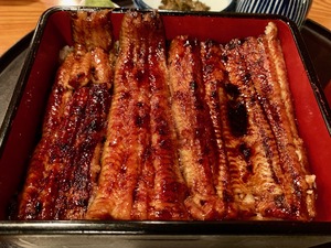 IMG_5402 1
