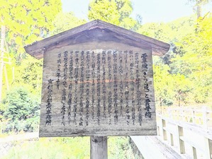 PXL_20241002_005105664