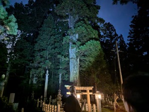 PXL_20240917_102151727.NIGHT