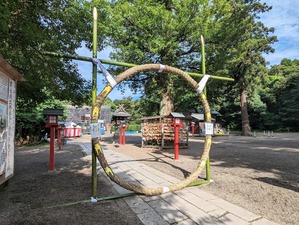 PXL_20230701_222745539~2