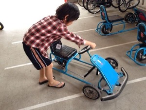 写真 1 (3)