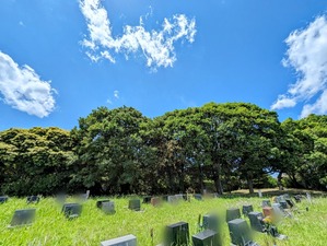 PXL_20240529_032708188~2