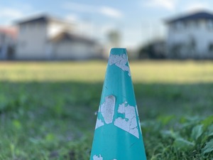 IMG_3300