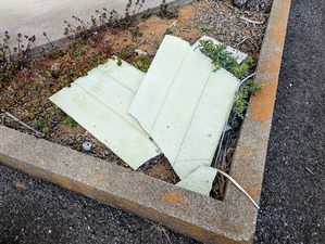 PXL_20250223_064458359-EDIT