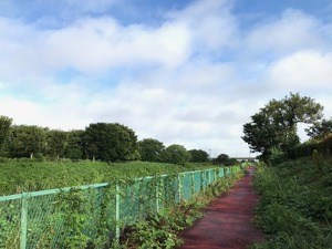 IMG_1662