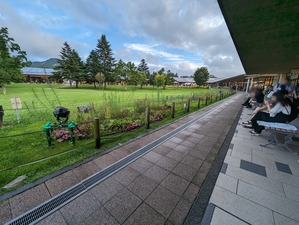 PXL_20230824_072300273