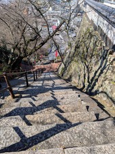 PXL_20260217_021054970