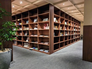 PXL_20230427_075538104