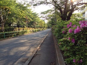 写真 5 (5)