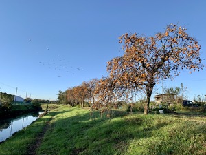 IMG_7666