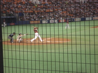 �����Ρ���