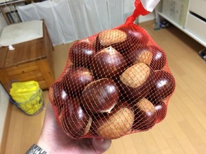 IMG_5406