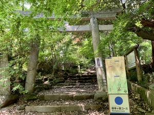 IMG_5740